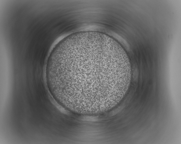 X0000111191086200907291158