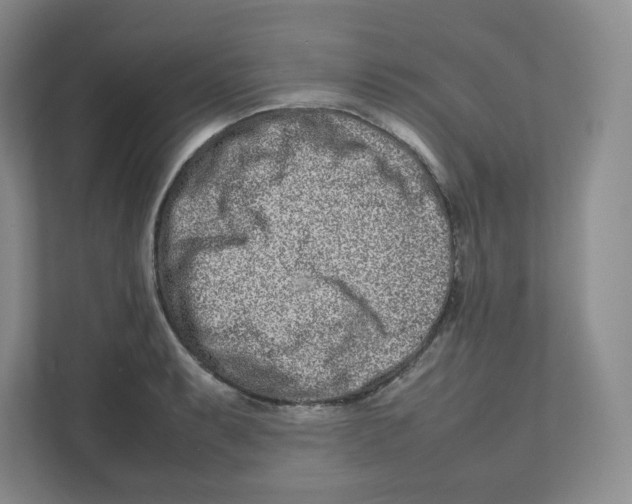 X0000111191087200907291158