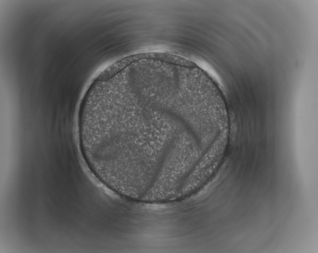 X0000111191088200907291158