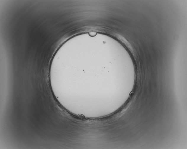 X0000111191089200907291158