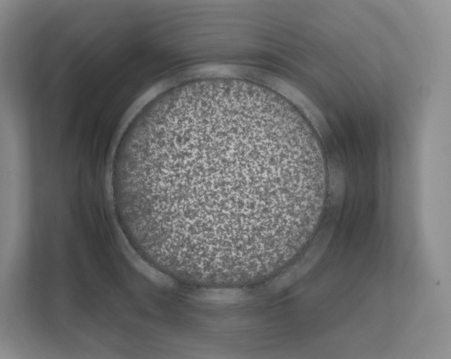 X0000111191090200907291158