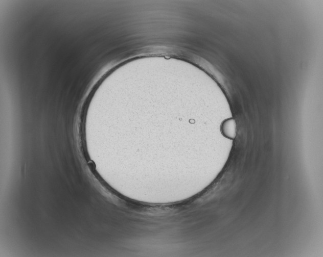 X0000111191091200907291158