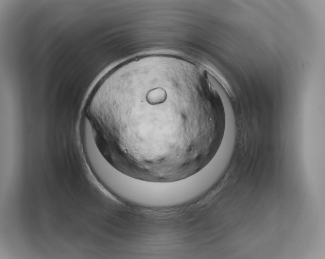 X0000111191092200907291158
