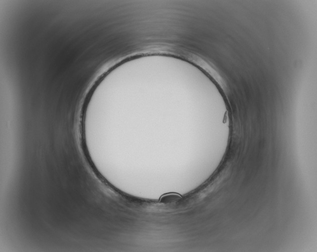 X0000111191093200907291158
