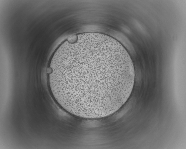 X0000111191094200907291158
