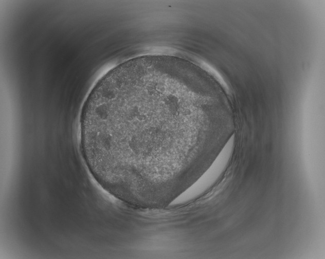 X0000111191095200907291158