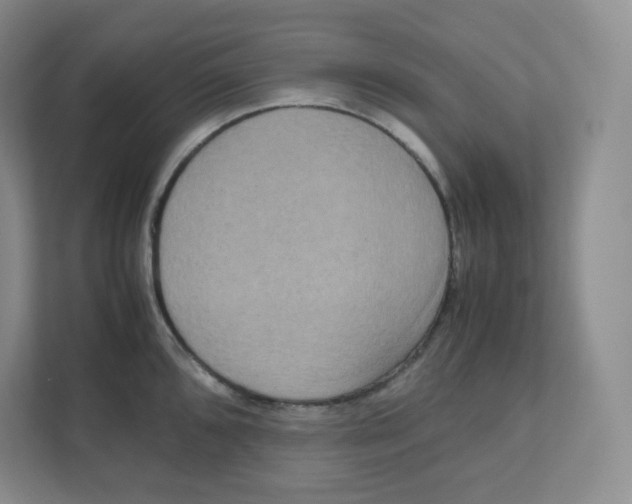 X0000111191096200907291158