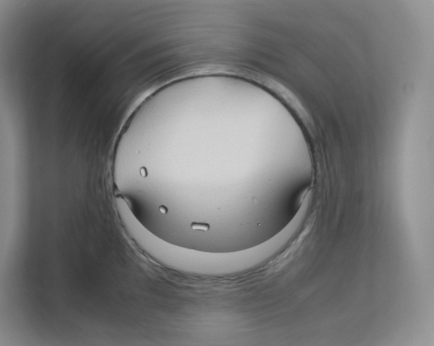 X0000111191097200907291158