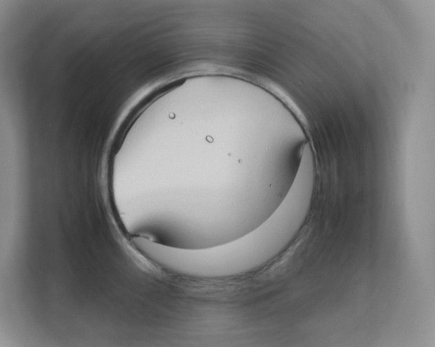X0000111191098200907291158