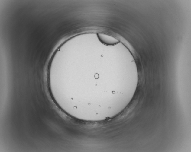 X0000111191099200907291158