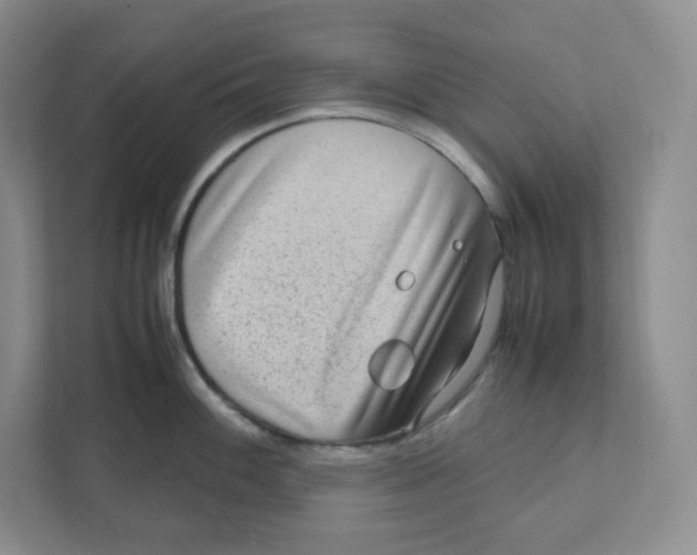X0000111191100200907291158