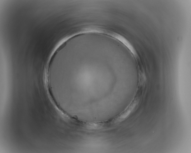 X0000111191101200907291158