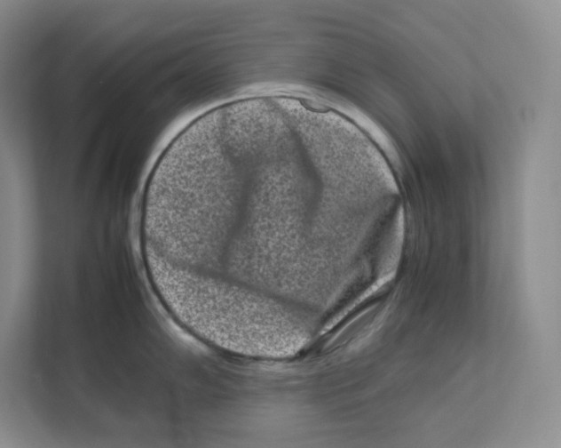 X0000111191102200907291158