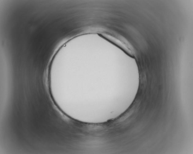 X0000111191103200907291158