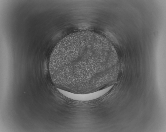 X0000111191106200907291158