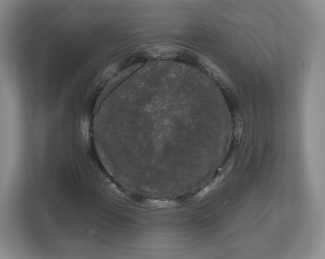 X0000111191108200907291158