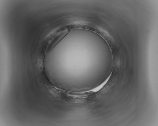 X0000111191110200907291158