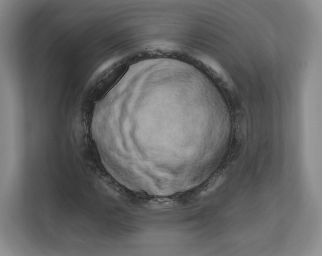 X0000111191112200907291158