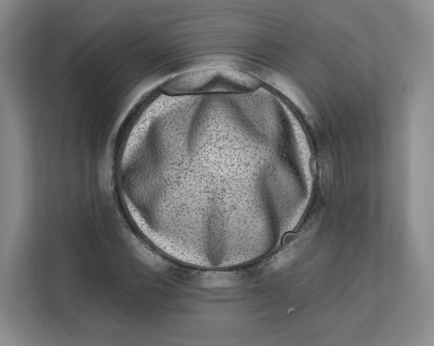 X0000111191116200907291158
