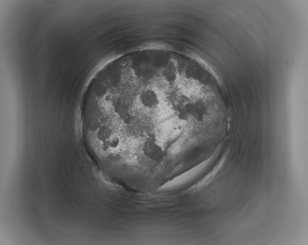 X0000111191117200907291158
