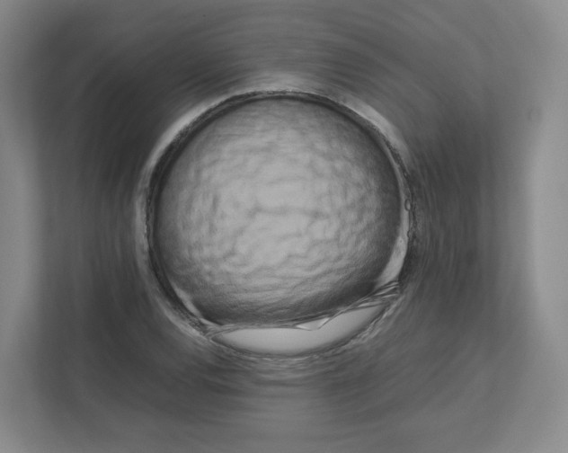 X0000111191120200907291158