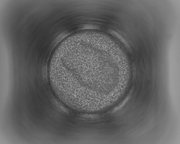 X0000111191121200907291158