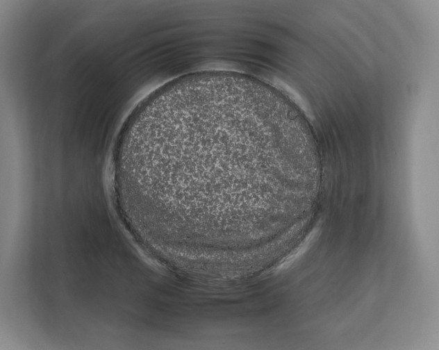 X0000111191125200907291158