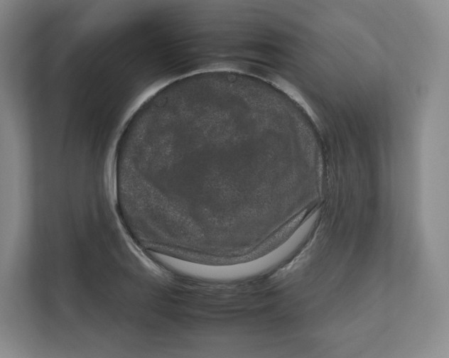 X0000111191127200907291158