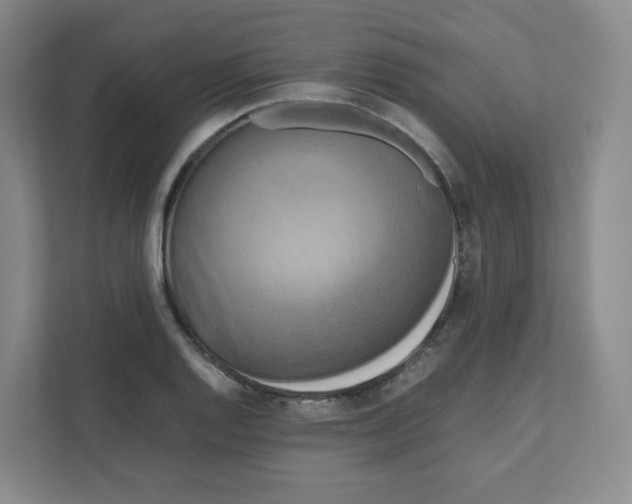 X0000111191128200907291158