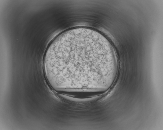 X0000111191129200907291158