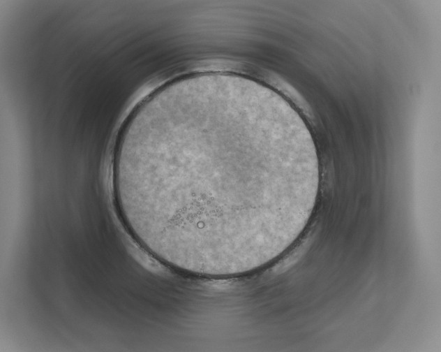 X0000111191130200907291158