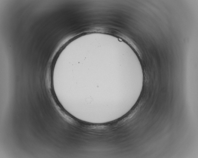 X0000111191131200907291158