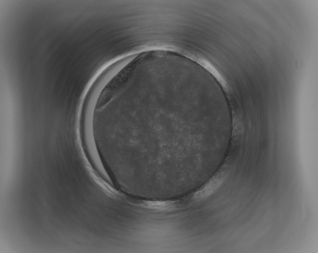 X0000111191132200907291158