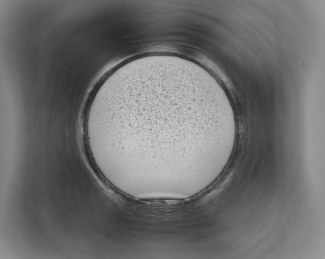 X0000111191133200907291158