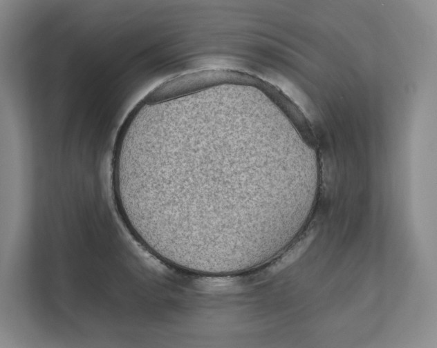 X0000111191134200907291158