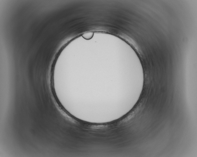 X0000111191135200907291158