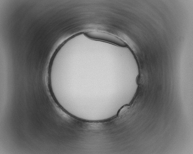 X0000111191136200907291158