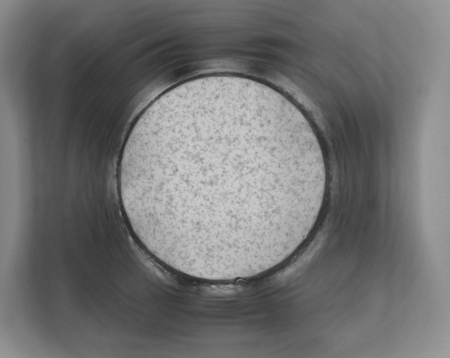X0000111191137200907291158