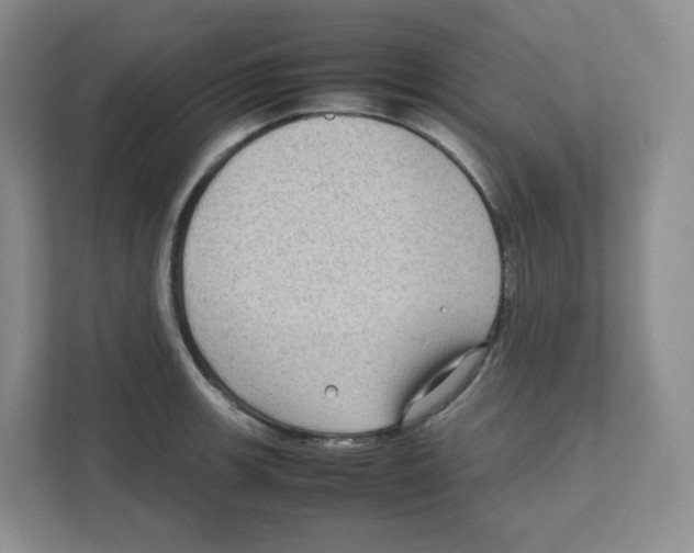 X0000111191139200907291158