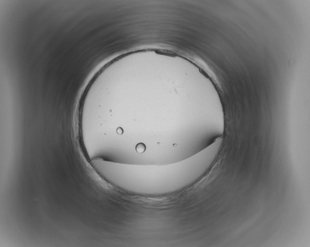 X0000111191140200907291158