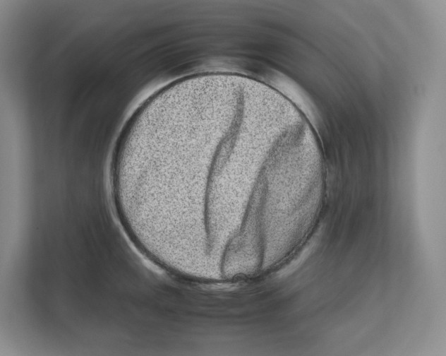 X0000111191141200907291158