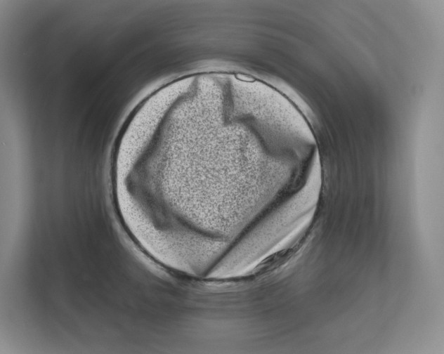 X0000111191142200907291158