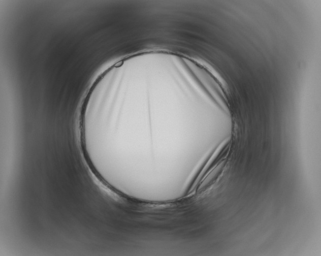 X0000111191143200907291158