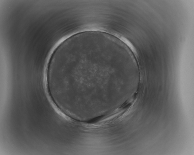 X0000111191144200907291158
