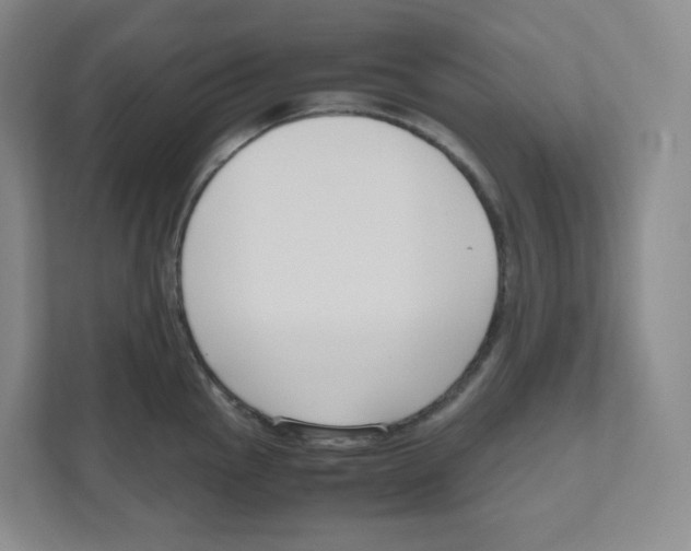 X0000111191145200907291158