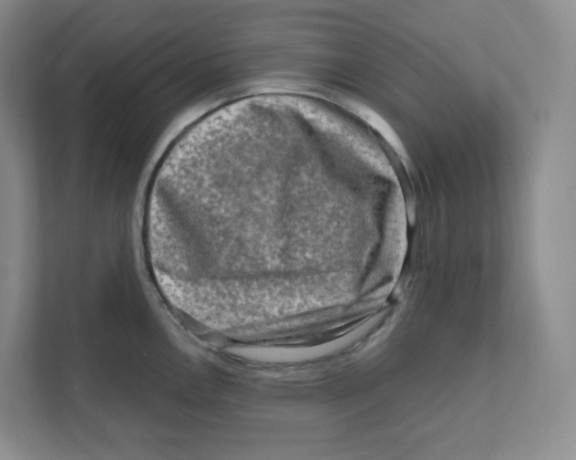 X0000111191146200907291158