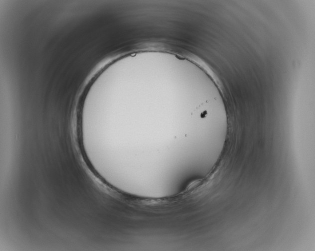 X0000111191147200907291158