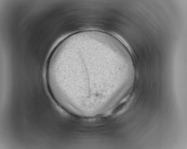 X0000111191149200907291158