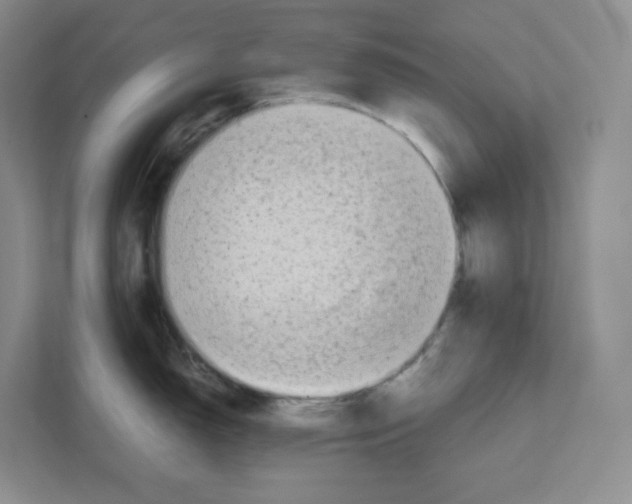 X0000111191150200907291158