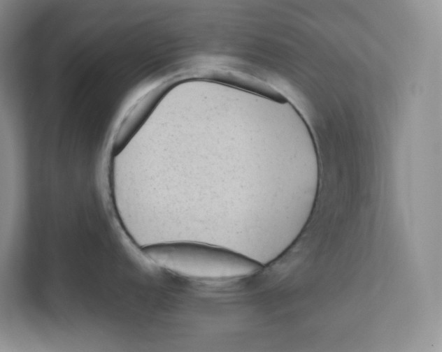 X0000111191152200907291158